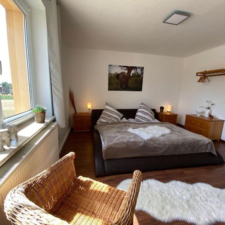 Gelbes Haus Seenland Ferienwohnungen Xl Elsterheide Zewnętrze zdjęcie