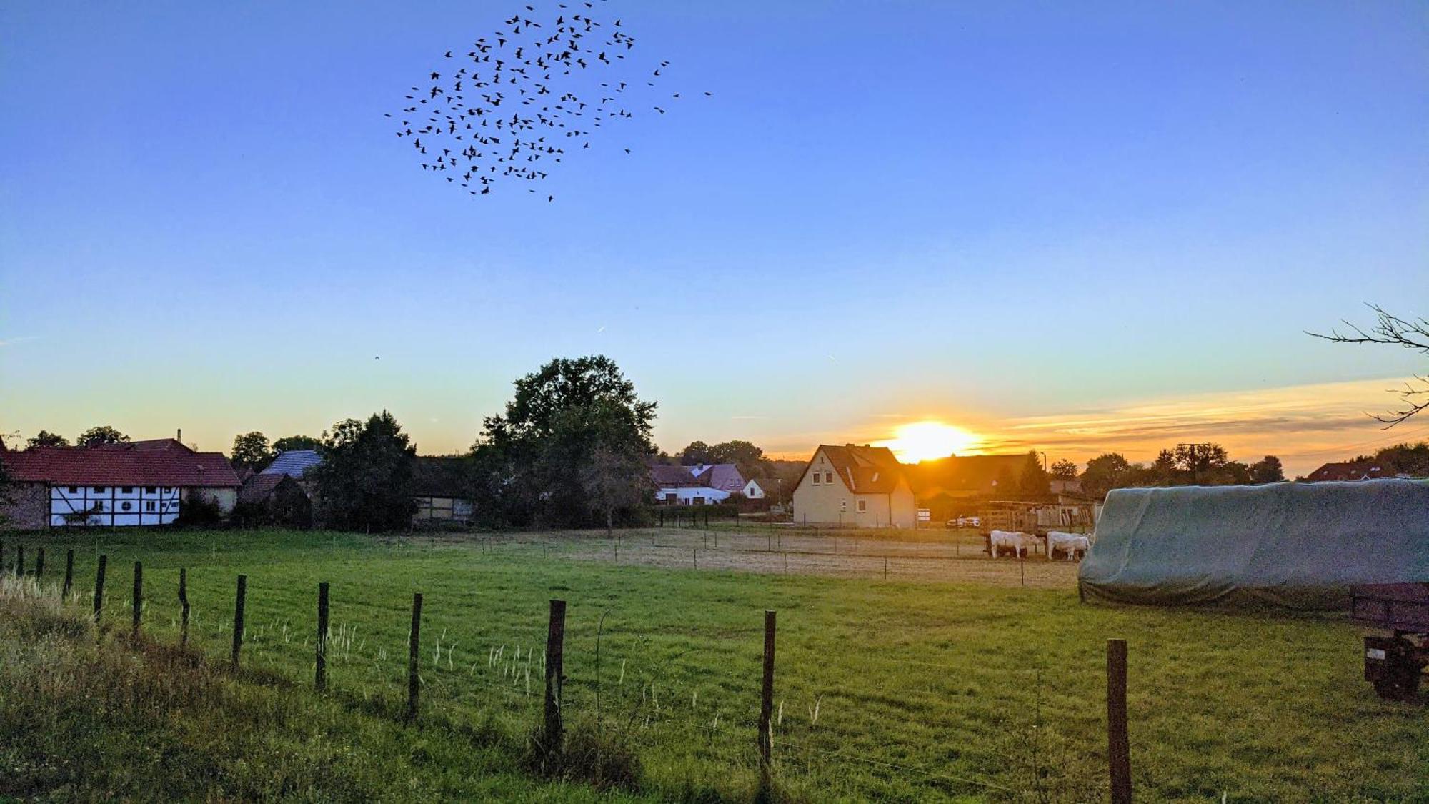 Gelbes Haus Seenland Ferienwohnungen Xl Elsterheide Zewnętrze zdjęcie